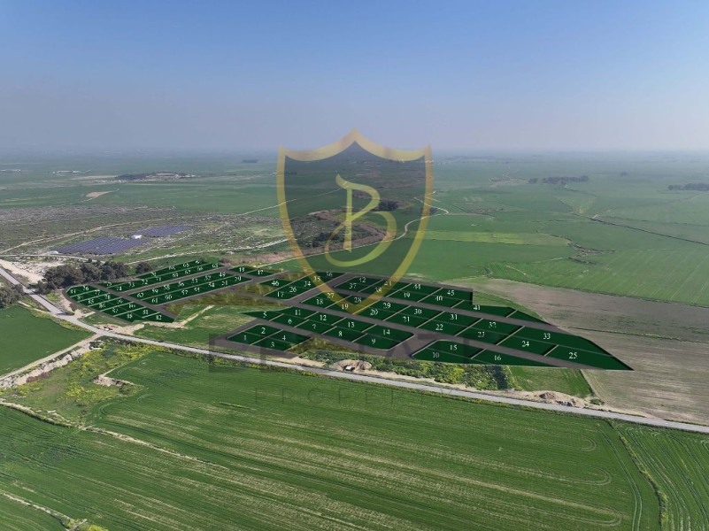 BP-10000004902