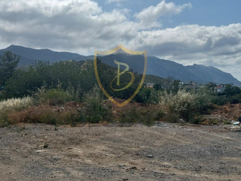 BP-10000004952