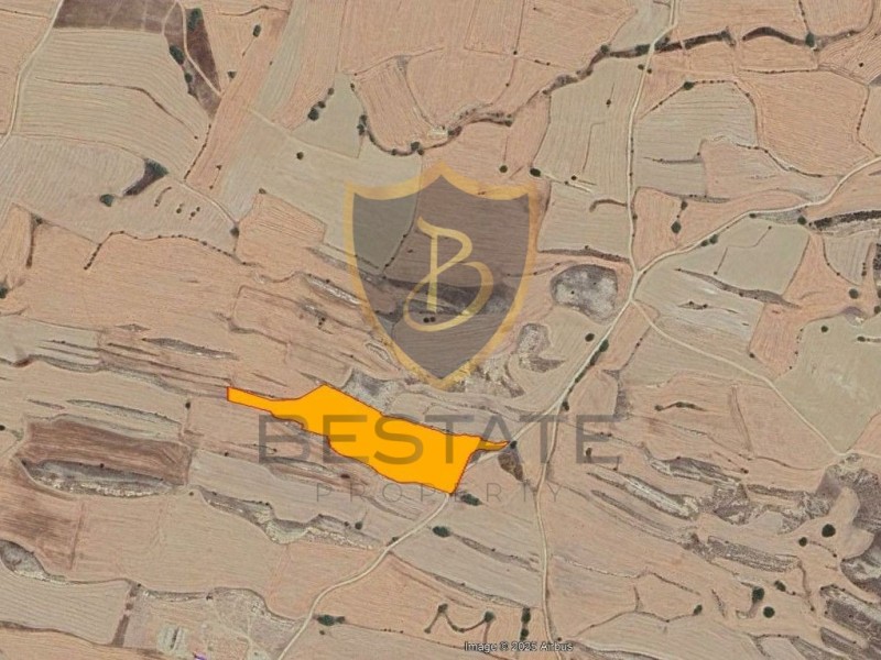 BP-10000004959