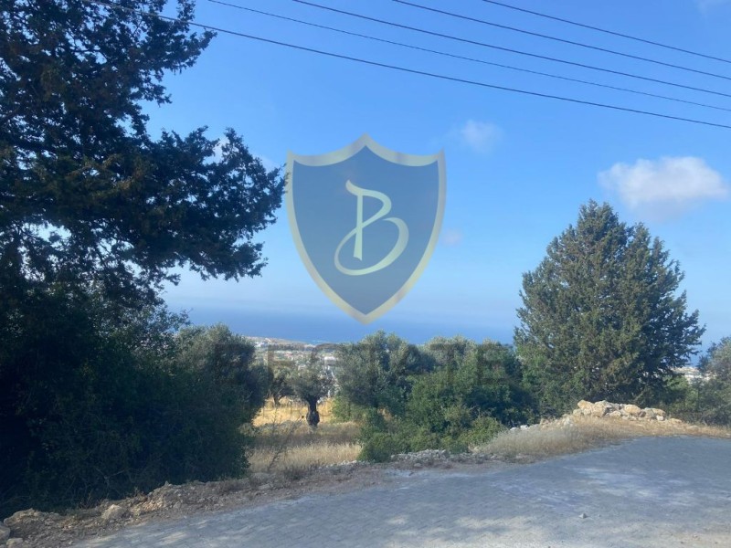 BP-10000005022