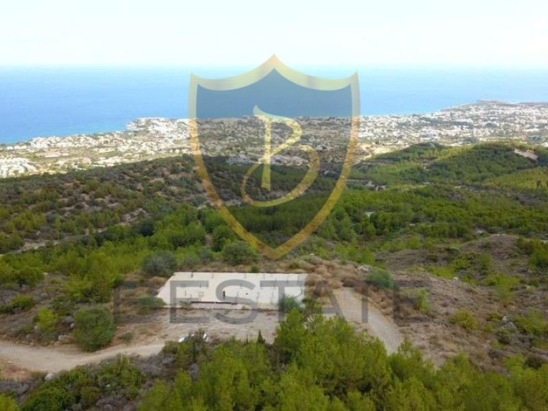 BP-10000005205