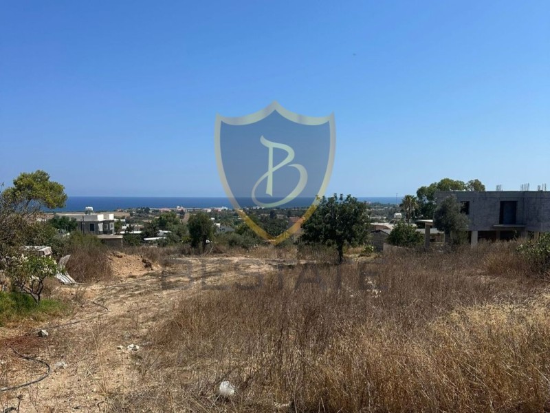 BP-10000005425