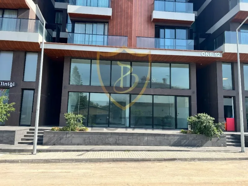 BP-10000006669